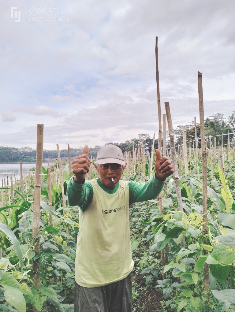 Omar Noor, Pekebun Sayur.